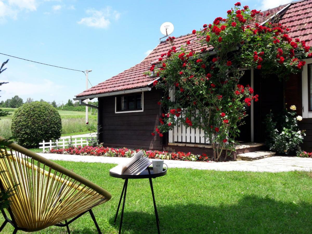Wooden House Nela Near Plitvice Lakes Smoljanac Exterior foto